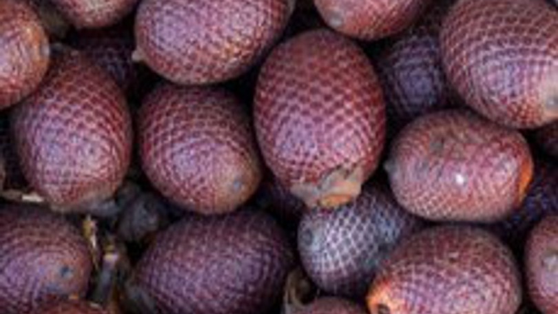 Buriti Oil