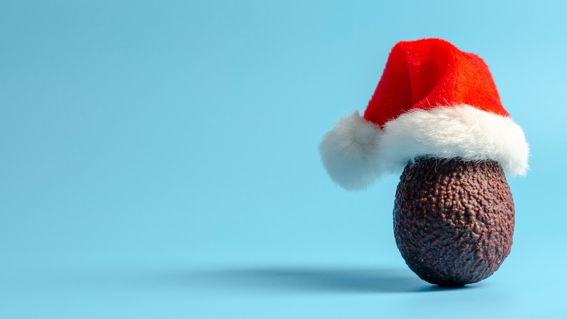 Christmas Avocado