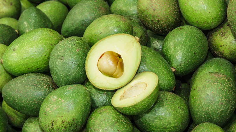 Effipulp Avocado