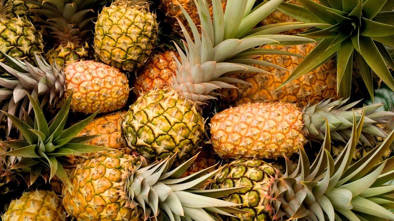 Sun Care Trends Pineapples Canva